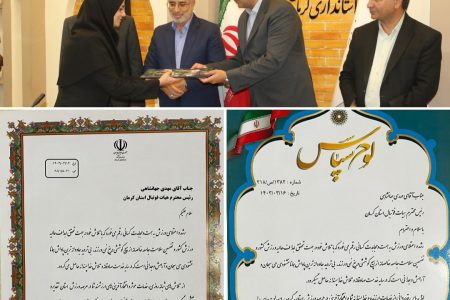 درخشش مدیران سیرجانی در هیات فوتبال استان